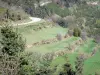 Ruines du château de Rochebloine - Abords verdoyants du site de Rochebloine