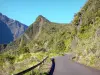 Ruta del Bélier - Paisajes vírgenes a lo largo del camino forestal Mafate alta; en el Parque Nacional de Reunión