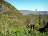 Ruta del Bélier - Vista desde la carretera del aries