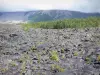 Ruta de las Lavas - Los flujos volcánicos, vegetación de Grand Brûlé y grandes pendientes