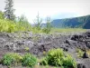 Ruta de las Lavas - El lavado del Piton de la Fournaise y la vegetación de Grand Brûlé