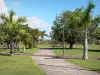 Saint-André - Palm lined fairways of the Colosse park