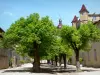 Saint-Antoine-l'Abbaye - Facades and lime trees in the great courtyard of the abbey