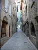 Saint-Antonin-Noble-Val - Alley lined with houses