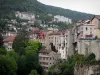 Saint-Claude - Houses and buildings of the city, trees and forest; in the Upper Jura Regional Nature Park