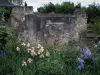 Saint-Cosme priory - Remains of the church and flowers of the garden
