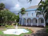 Saint-Denis - Department villa and its garden with a pond