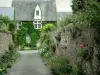 Saint-Denis-d'Anjou - Flower-bedecked alley and facade of a house covered with Virginia creeper