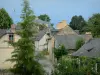 Saint-Denis-d'Anjou - Vista de las casas de pueblo