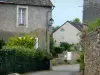Saint-Denis-d'Anjou - Houses in the village