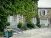 Saint-Denis-d'Anjou - House facade with Virginia creeper