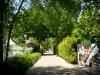 Saint-Denis canal - Tree-lined promenade