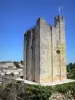 Saint-Émilion - Tour du Roy, Roy castillo dungeon