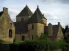 Saint-Geniès - Castillo y torre de la iglesia