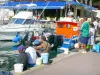 Saint-Gilles-les-Bains - Anglers in port