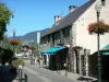 Saint-Lary-Soulan - Spa y esquí: pueblo, calle bordeada de casas y postes de luz de floración (flores) en el valle de Aure