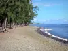 Saint-Leu - Plage de Saint-Leu ombragée de filaos et océan Indien