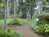 Saint-Leu - Jardín Botánico de la Reunión: viaje de descubrimiento de la flora de la zona