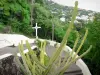 Saint-Leu - Camino de la cruz que lleva a la catedral de Notre-Dame-de-la-Salette en el primer plano Cactus