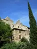 Saint-Montan - Feodal castle overlooking the stone houses of the medieval village; cypress in the foreground