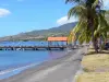 Saint-Pierre - Zandstrand met palmbomen en de pier van St. Peter