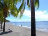 Saint-Pierre - Zandstrand omzoomd met kokospalmen en de Caribische zee bezaaid met zeilboten