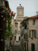 Saint-Rémy-de-Provence - Calle bordeada de casas con una rosa y la torre del ayuntamiento (antiguo convento) en el fondo
