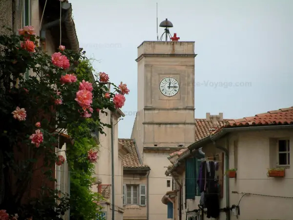 Saint-Rémy-de-Provence - Guide Tourisme & Vacances