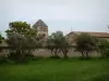 Saint-Rémy-de-Provence - Monasterio de Saint-Paul-de-Mausole (hogar de ancianos que fue sede de Van Gogh)