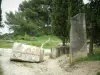 Saint-Rémy-de-Provence - Big Glanum stones (cut and sculpture) and trees