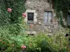 Saint-Suliac - Casa de piedra con plantas trepadoras y rosas