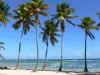 Sainte-Anne - De arena blanca, cocoteros y playa de la laguna Bois Jolan