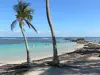Sainte-Anne - Nadar en la laguna de la playa salpicada de palmeras de coco Caravelle
