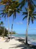 Sainte-Anne - Las palmas de coco y playa de arena blanca de Bois Jolan con vistas a la laguna de color turquesa