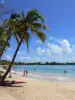 Sainte-Anne - Beach of Grande Anse des Salines with its fine sand, coconut trees and turquoise sea