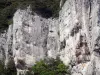 Sainte-Beaume gorges - Rock walls