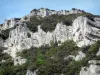 Sainte-Beaume gorges - Rock walls and vegetation