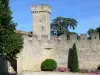 Sainte-Croix-du-Mont - Smaakt kasteel huisvesting van de stad Sainte-Croix-du-Mont