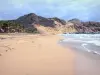 Les Saintes - Grand Anse beach of golden sand on the island of Terre-de-Haut, and sea waves