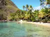 Les Saintes - Petite Anse du Pain de Sucre with its sandy beach, coconut trees and clear waters