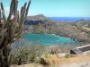 Les Saintes - View of the turquoise waters of Les Saintes archipelago from the botanical garden of the Napoléon fort and its cactus