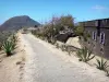 Les Saintes - Walkway of the Napoléon fort and its cactus