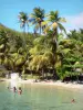 Les Saintes - Petite Anse du Pain de Sucre with its sandy beach, coconut trees and clear waters