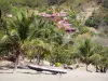 Les Saintes - Houses overlooking the beach of the Figuier cove and its coconut trees