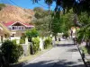 Les Saintes - Street lined with trees and houses on the island of Terre-de-Haut