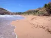 Les Saintes - Grand Anse beach with golden sand on the island of Terre-de-Haut