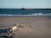 Les Saintes-Maries-de-la-Mer - Sandy beach with rocks going into the sea