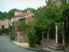 Salles - Houses of the village with shrubs and plants