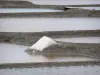Salt from Noirmoutier - Gastronomy, holidays & weekends guide in the Vendée