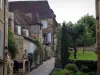 Sarlat-la-Canéda - Houses of the medieval old town, in Périgord